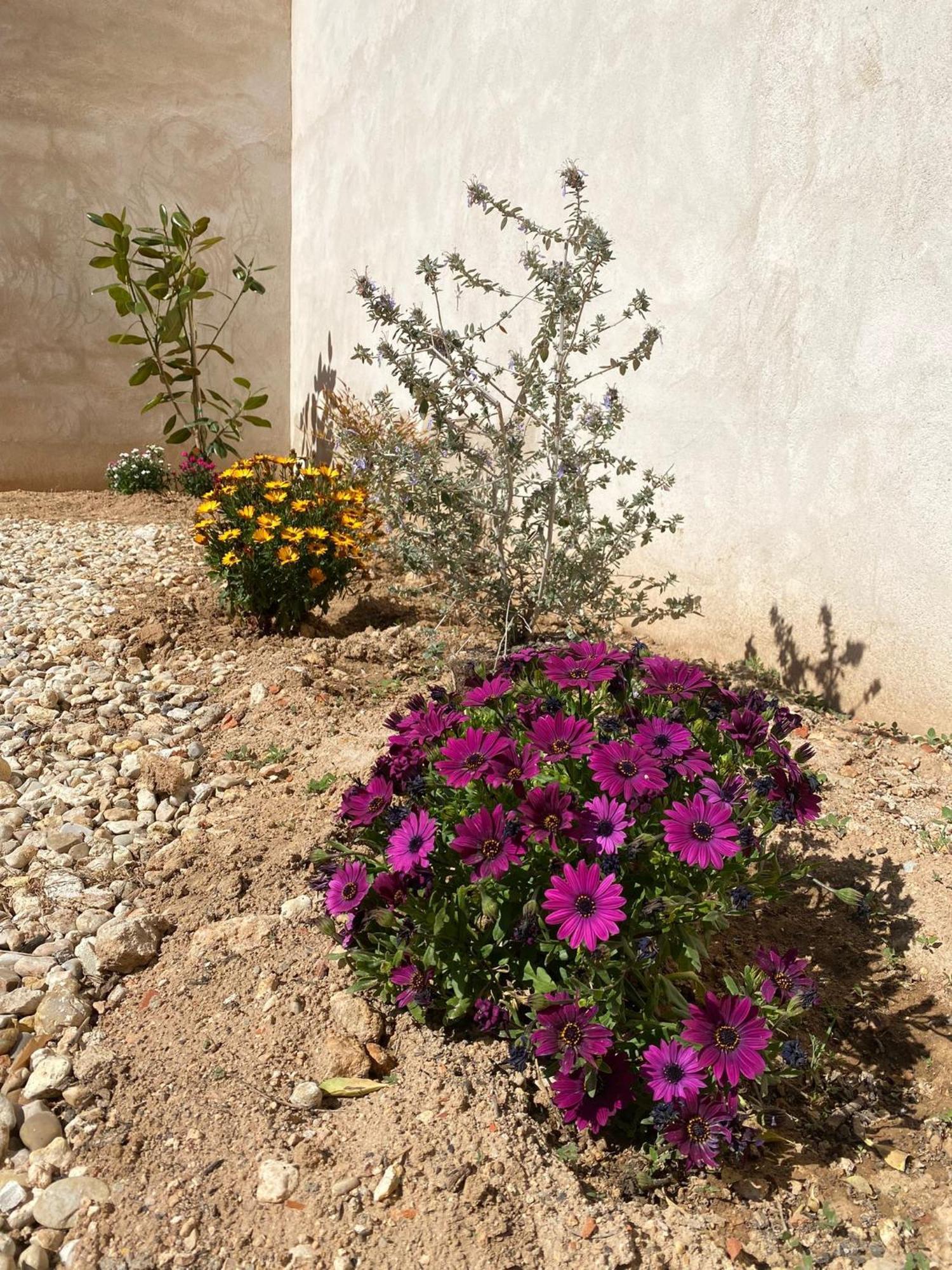 La Mancha Suites Casa Rural Pedro Muñoz 외부 사진